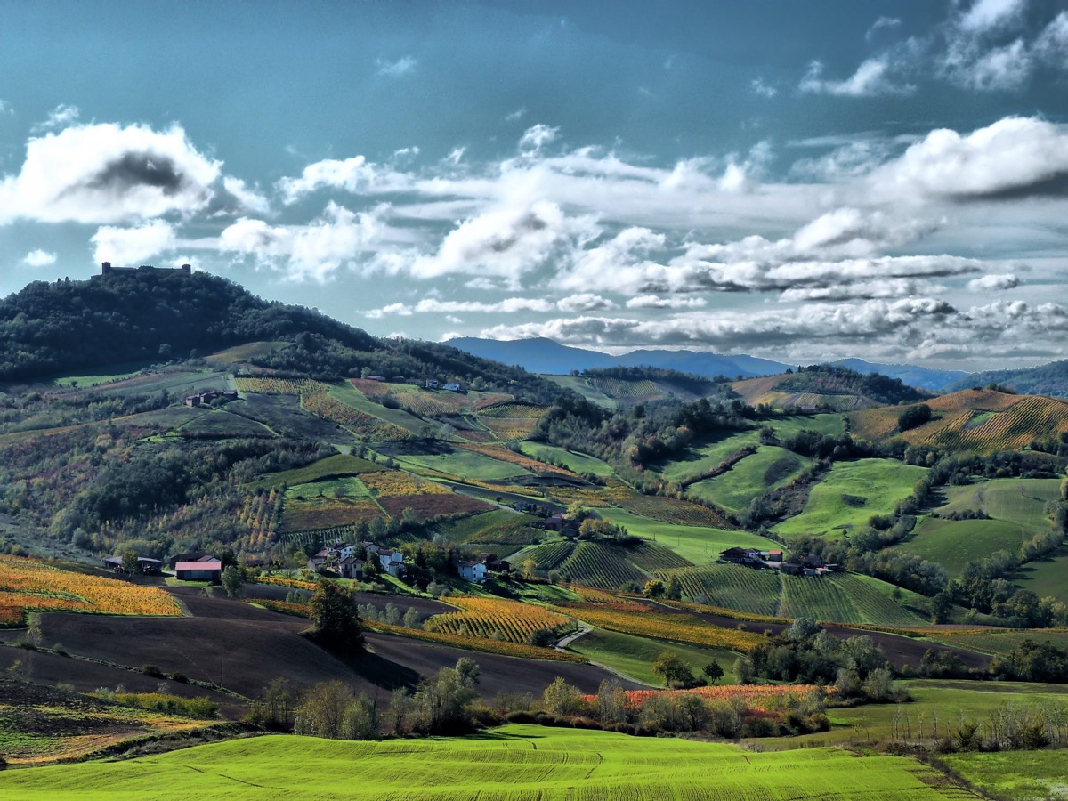 Oltrepò Pavese - Vigneti e colline